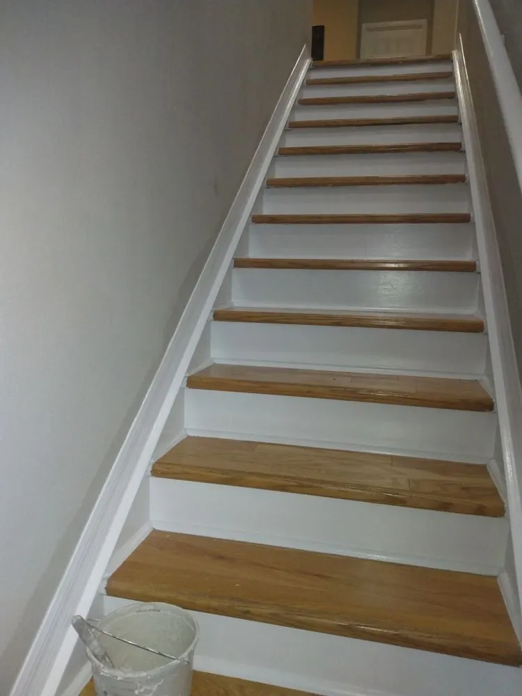 Affordable residential landscaping experts serving Temple Terrace, FL - AOK Painting