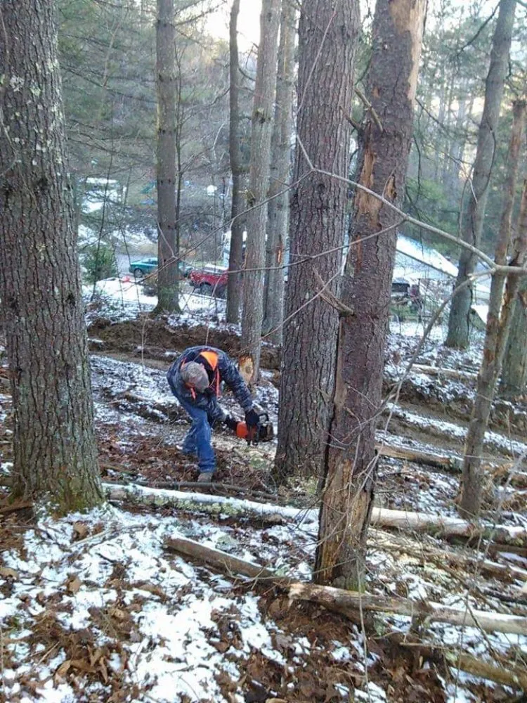 Custom landscape installation for homes in Brenton, WV by AOK Pressure Washing and Lawn Care