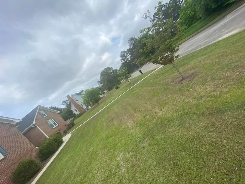 Trusted lawn mowing service experts serving Gaston, SC - Ap & Pcl Landscaping