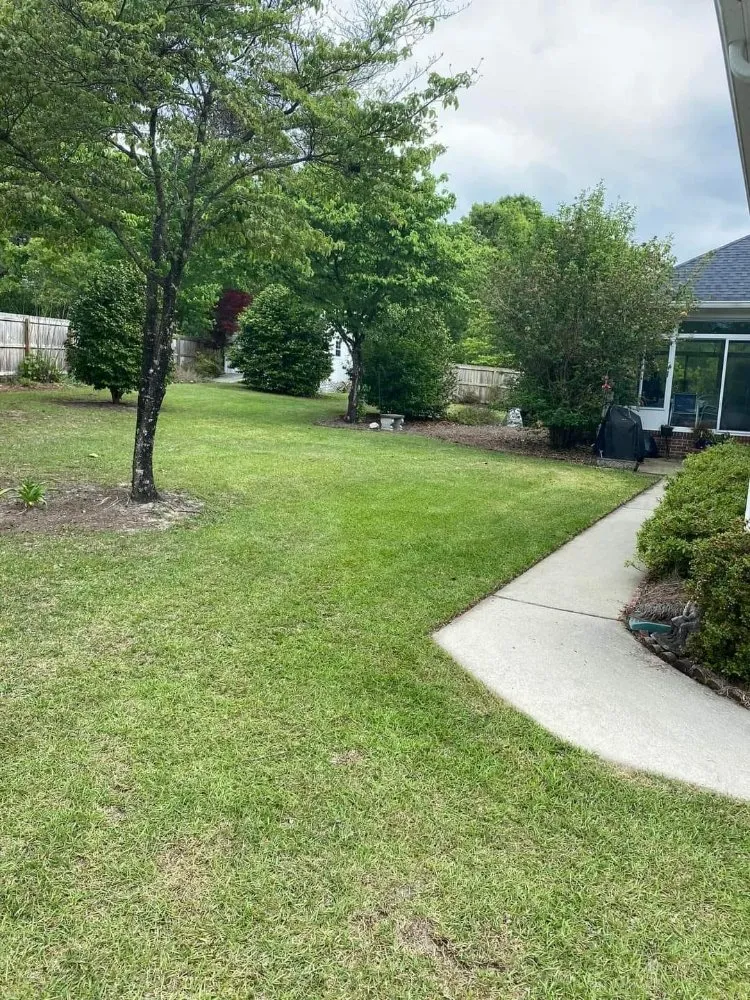 Affordable yard maintenance near you across Gaston, SC - Ap & Pcl Landscaping