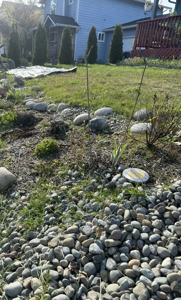 Expert yard cleanup service for outdoor upgrades in Shelton, WA by AP Adventure Landscape Services