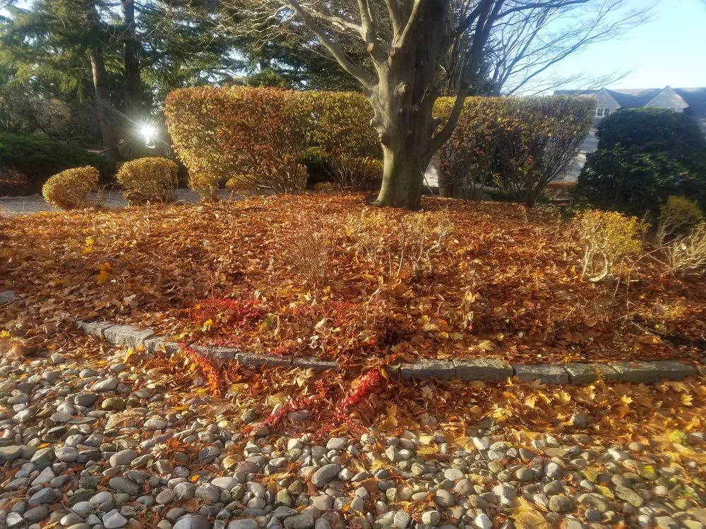 Affordable landscaping services for residential properties in Ewing, NJ by A&P Brothers Landscaping