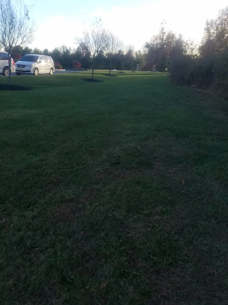 Professional landscaping services in Ewing, NJ - A&P Brothers Landscaping