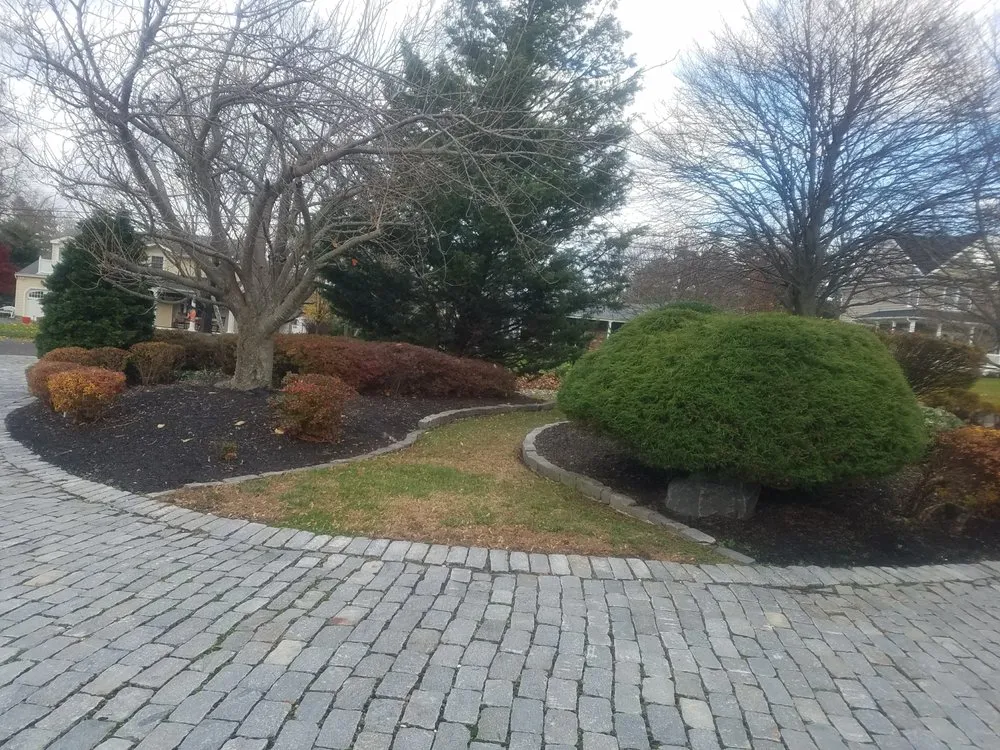 Top-rated yard cleanup service experts serving Ewing, NJ - A&P Brothers Landscaping