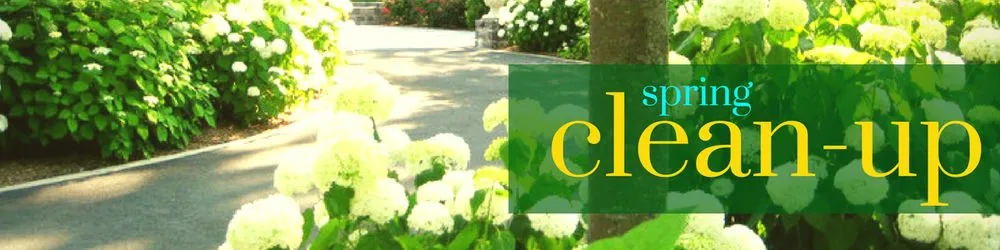 Top-rated landscaping services near you in Ewing, NJ by A&P Brothers Landscaping