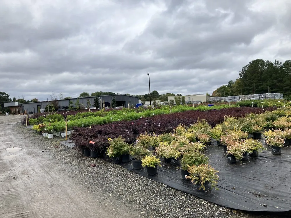 Custom outdoor landscaping in Atlanta, GA by A&P Designers Landscaping