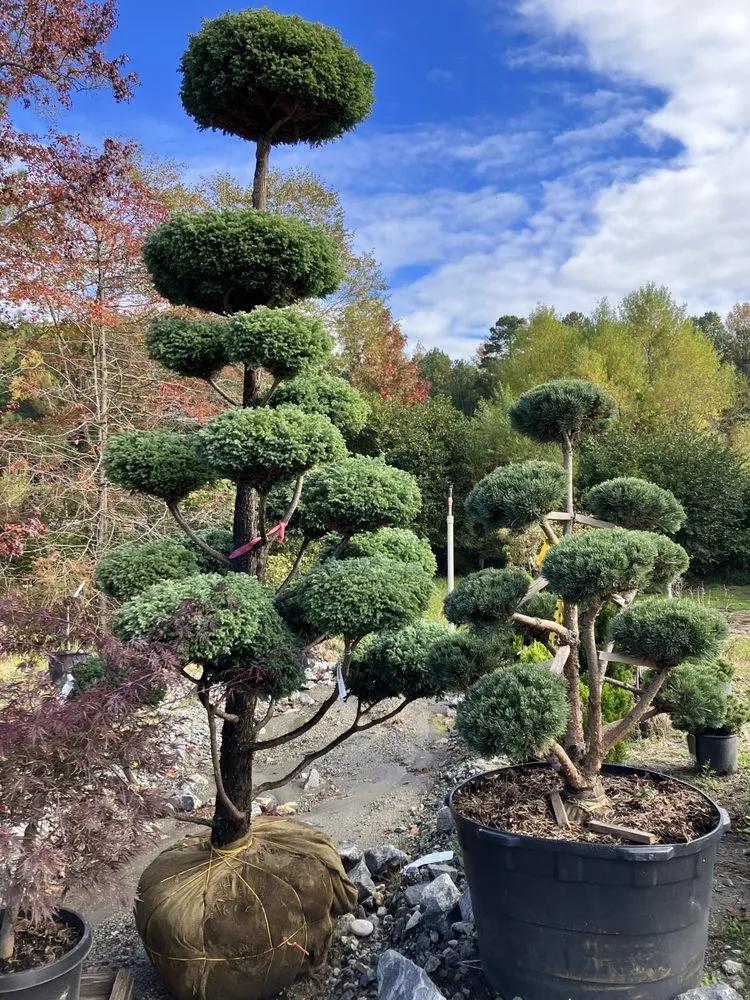 Trusted garden landscaping in Atlanta, GA - A&P Designers Landscaping