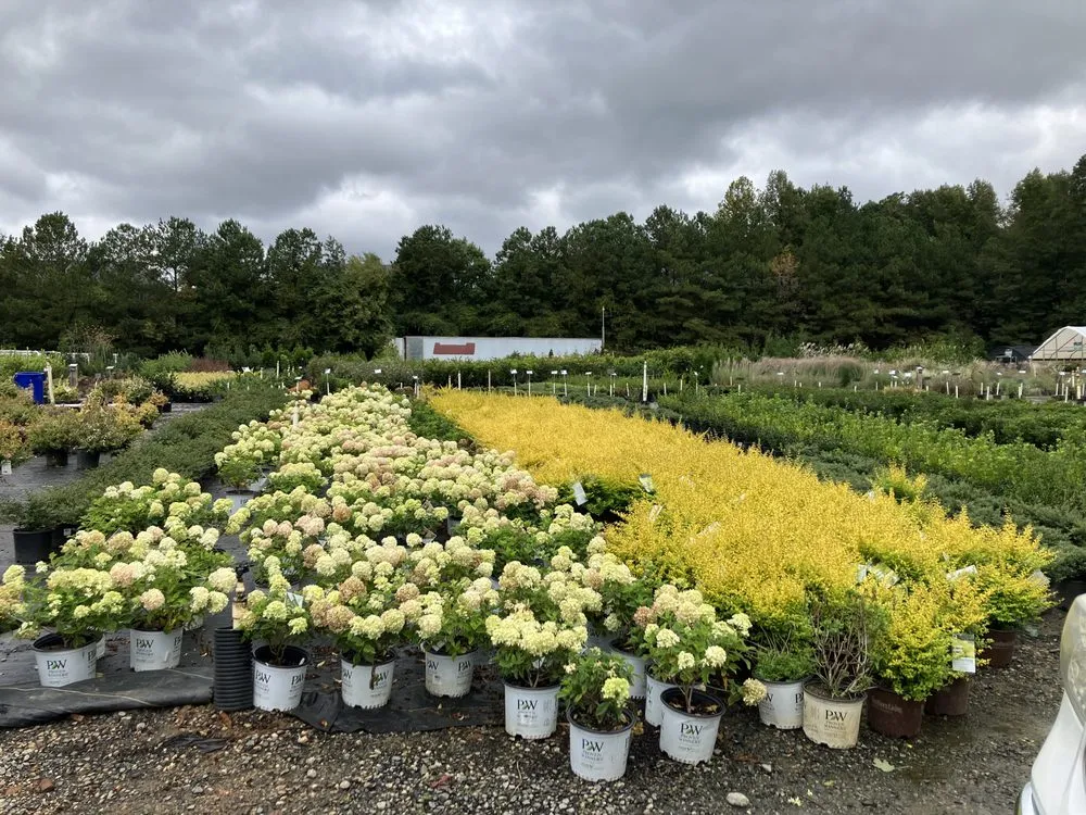 Professional yard maintenance in Atlanta, GA by A&P Designers Landscaping