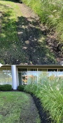 A.P Garden & Landscape