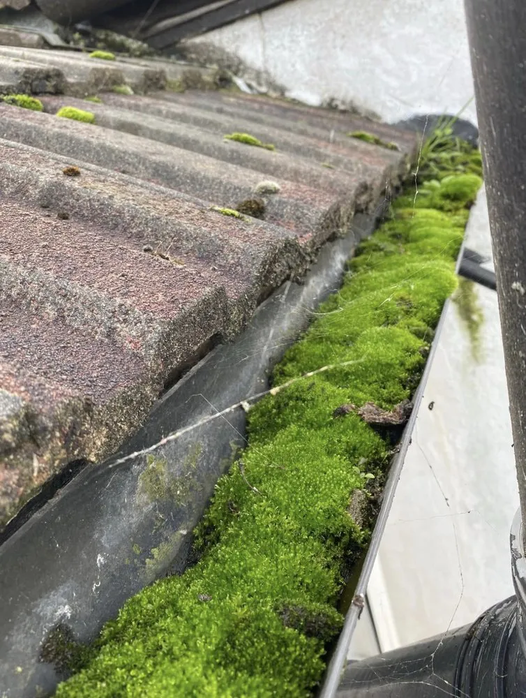 Professional landscaping services for year-round maintenance in Loveland, CO by AP Gutter Service