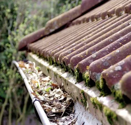 AP Gutter Service Logo