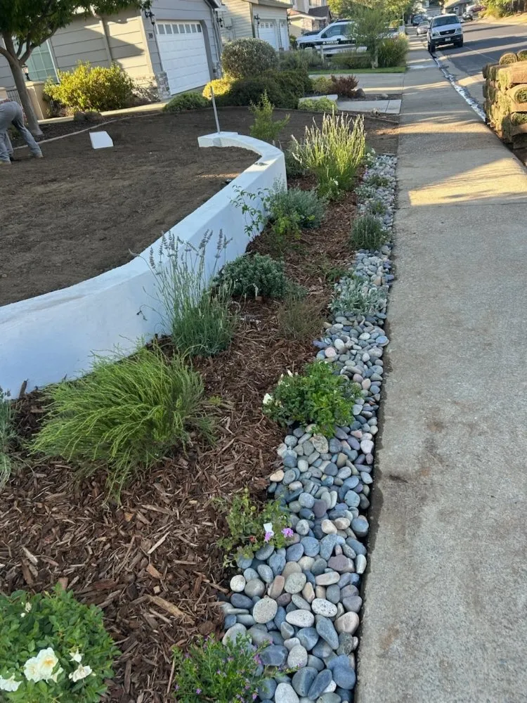 Expert lawn mowing service experts serving Citrus Heights, CA - A'p landscape and hardcape