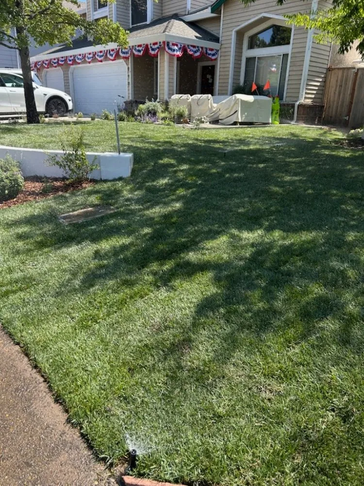Professional garden landscaping experts serving Citrus Heights, CA - A'p landscape and hardcape
