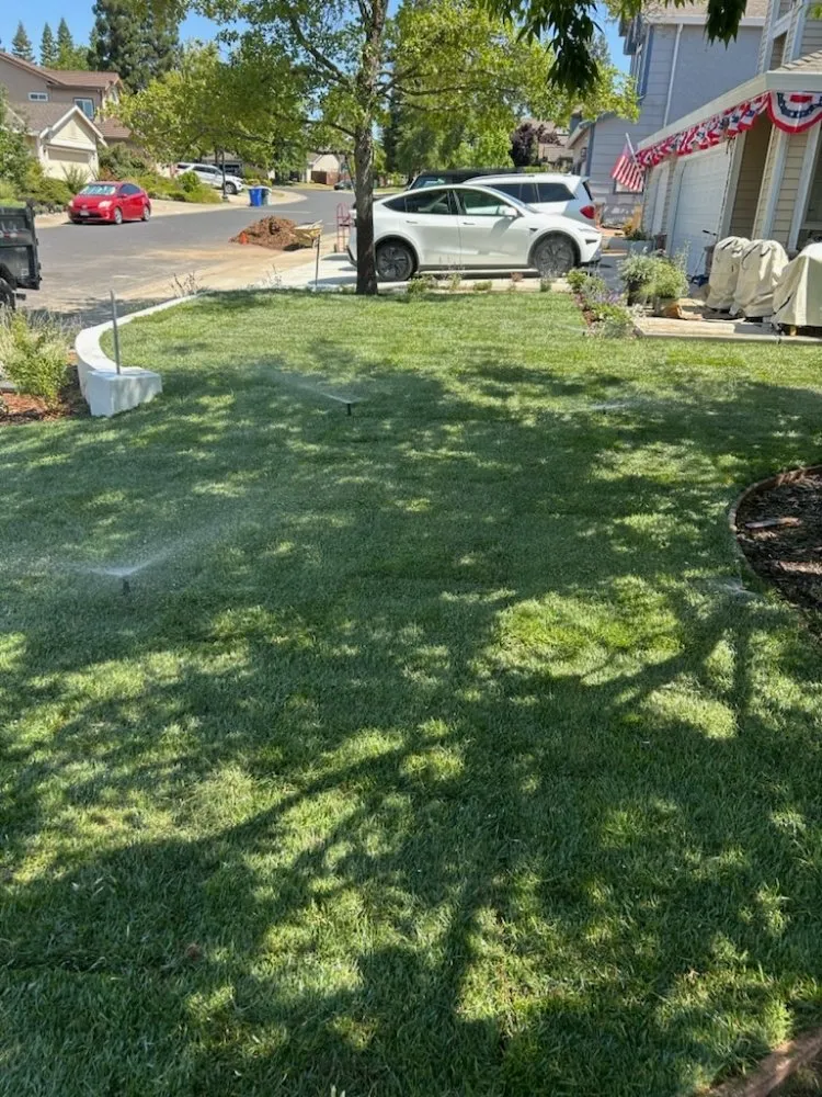 Local lawn care service for outdoor upgrades across Citrus Heights, CA - A'p landscape and hardcape