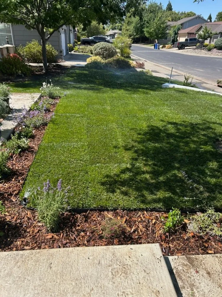 Trusted lawn mowing service in Citrus Heights, CA by A'p landscape and hardcape