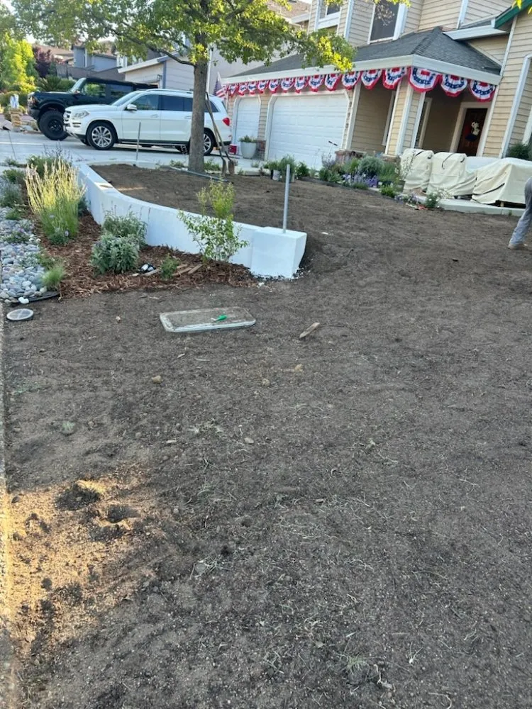 Trusted yard cleanup service in Citrus Heights, CA by A'p landscape and hardcape