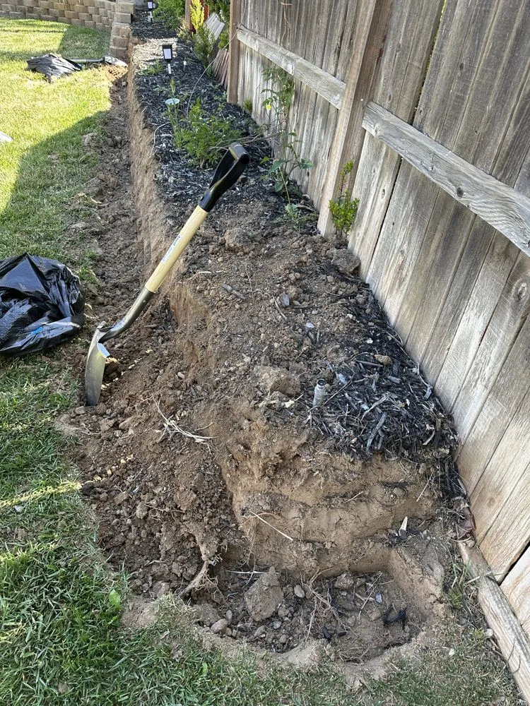 Reliable landscaping services for beautiful yards in Moreno Valley, CA by AP Landscape