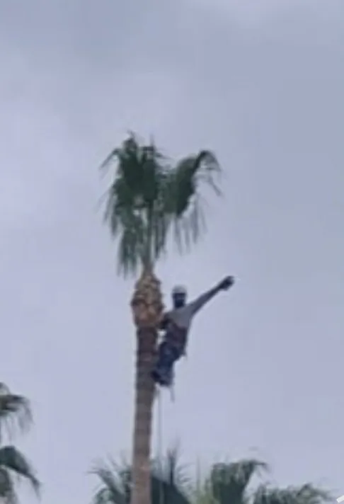 Local lawn mowing service with custom design in Moreno Valley, CA by AP Landscape