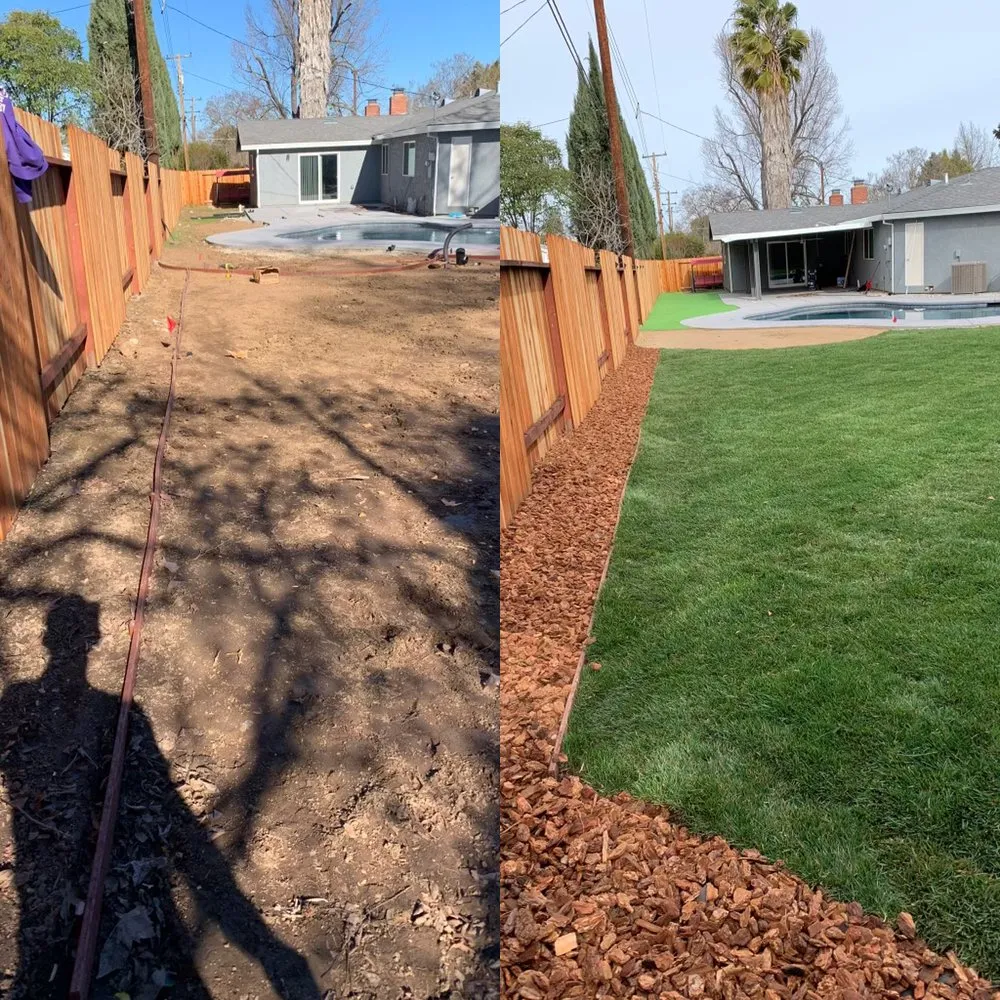 Top-rated yard cleanup service in Sacramento, CA by AP Landscape