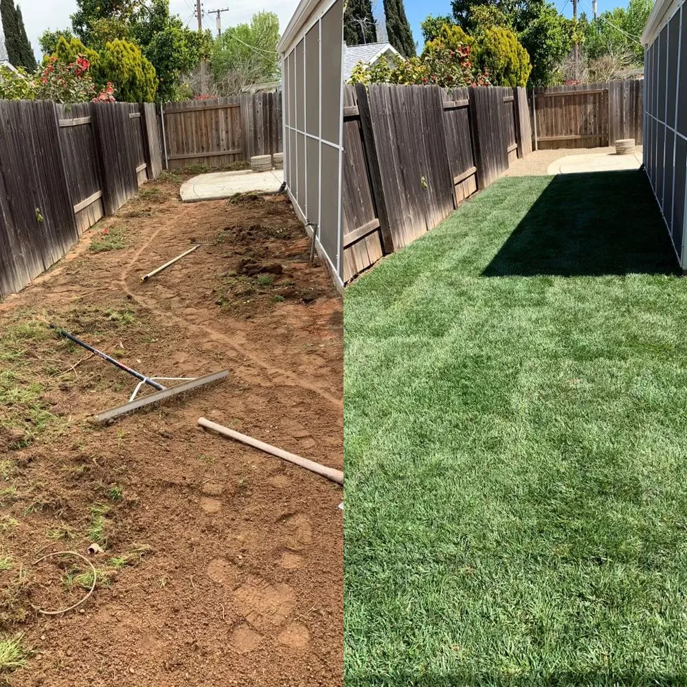 Reliable yard cleanup service in Sacramento, CA by AP Landscape