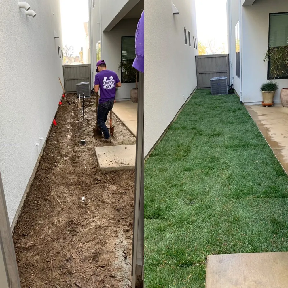 Trusted yard cleanup service in Sacramento, CA by AP Landscape