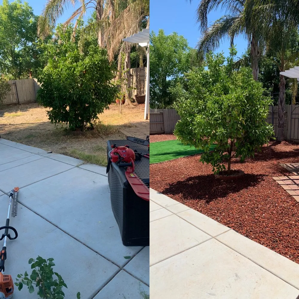 Top-rated landscaping services in Sacramento, CA - AP Landscape