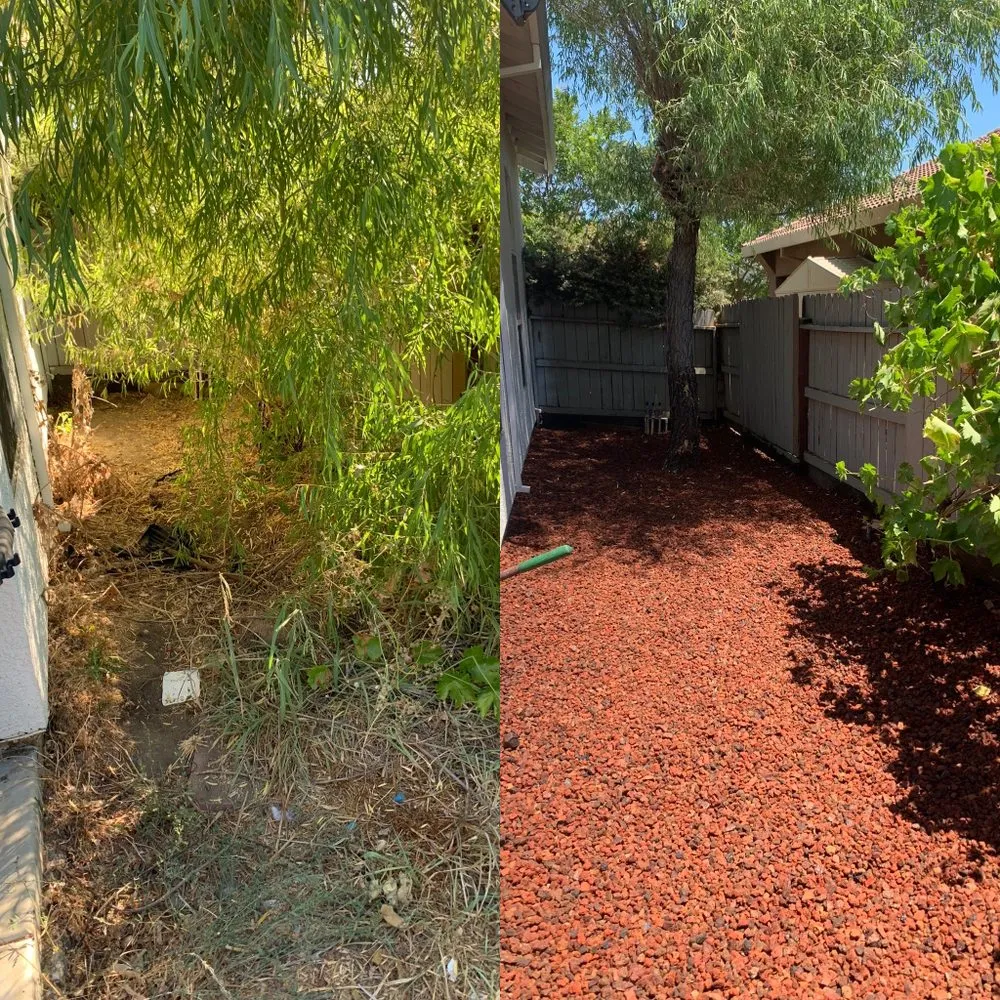 Reliable landscape installation in Sacramento, CA - AP Landscape