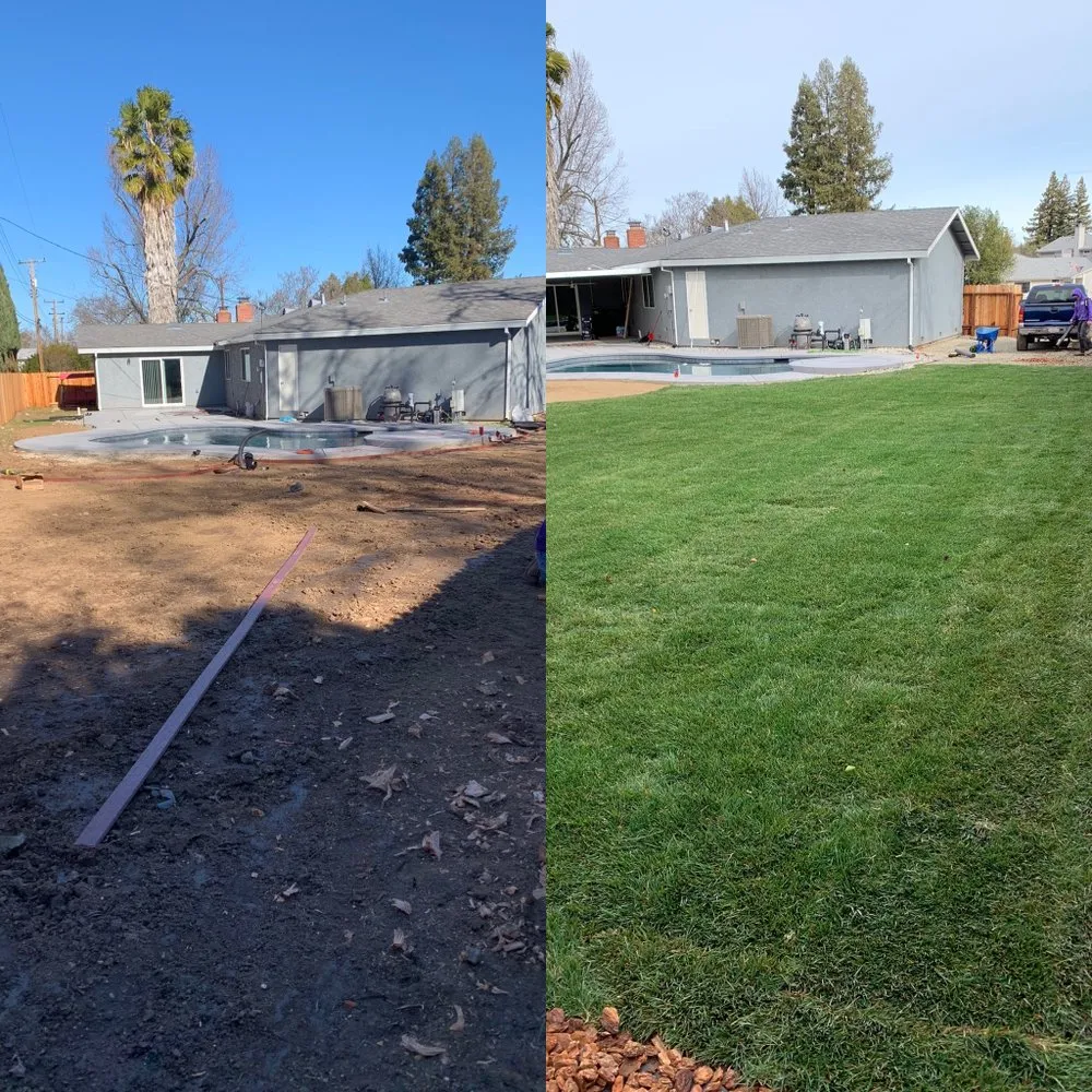 Affordable outdoor landscaping experts serving Sacramento, CA - AP Landscape