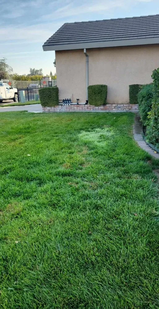 Trusted lawn care service experts serving Lawrence, MA - AP Landscapers & Tree