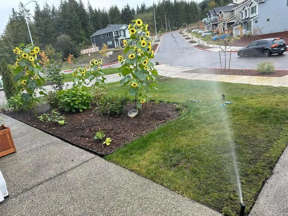 Reliable lawn care service experts serving Lawrence, MA - AP Landscapers & Tree