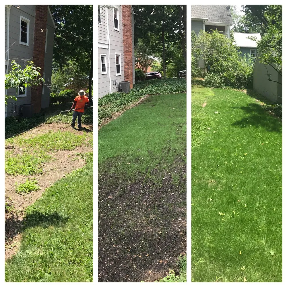 Reliable landscape design for year-round maintenance across Alexandria, VA - AP Landscapers, Lawn Care and Landscaping Service