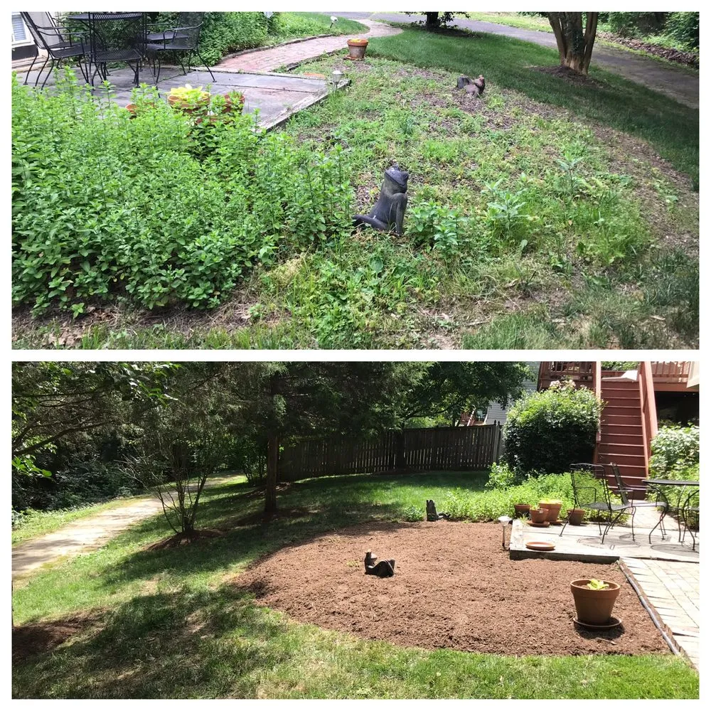 Professional lawn mowing service experts serving Alexandria, VA - AP Landscapers, Lawn Care and Landscaping Service