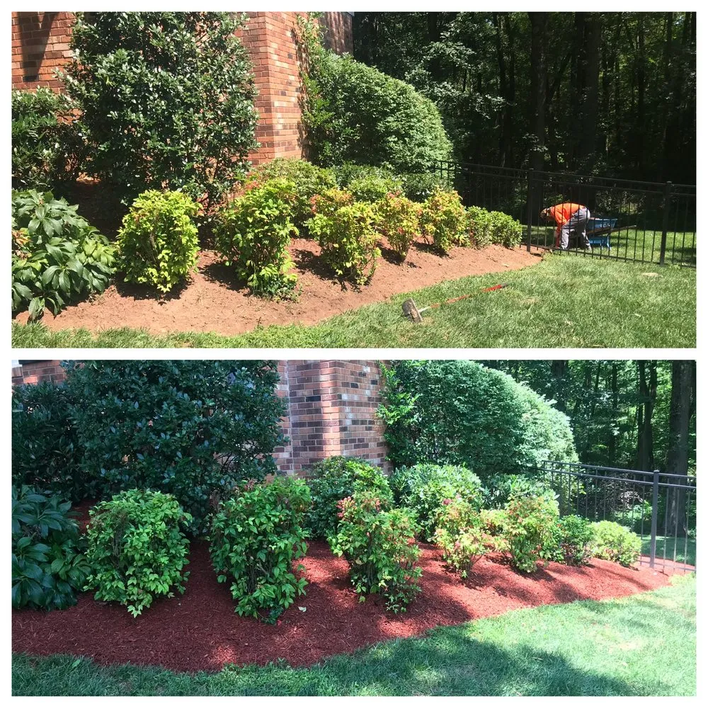 Trusted landscape installation for outdoor upgrades in Alexandria, VA by AP Landscapers, Lawn Care and Landscaping Service
