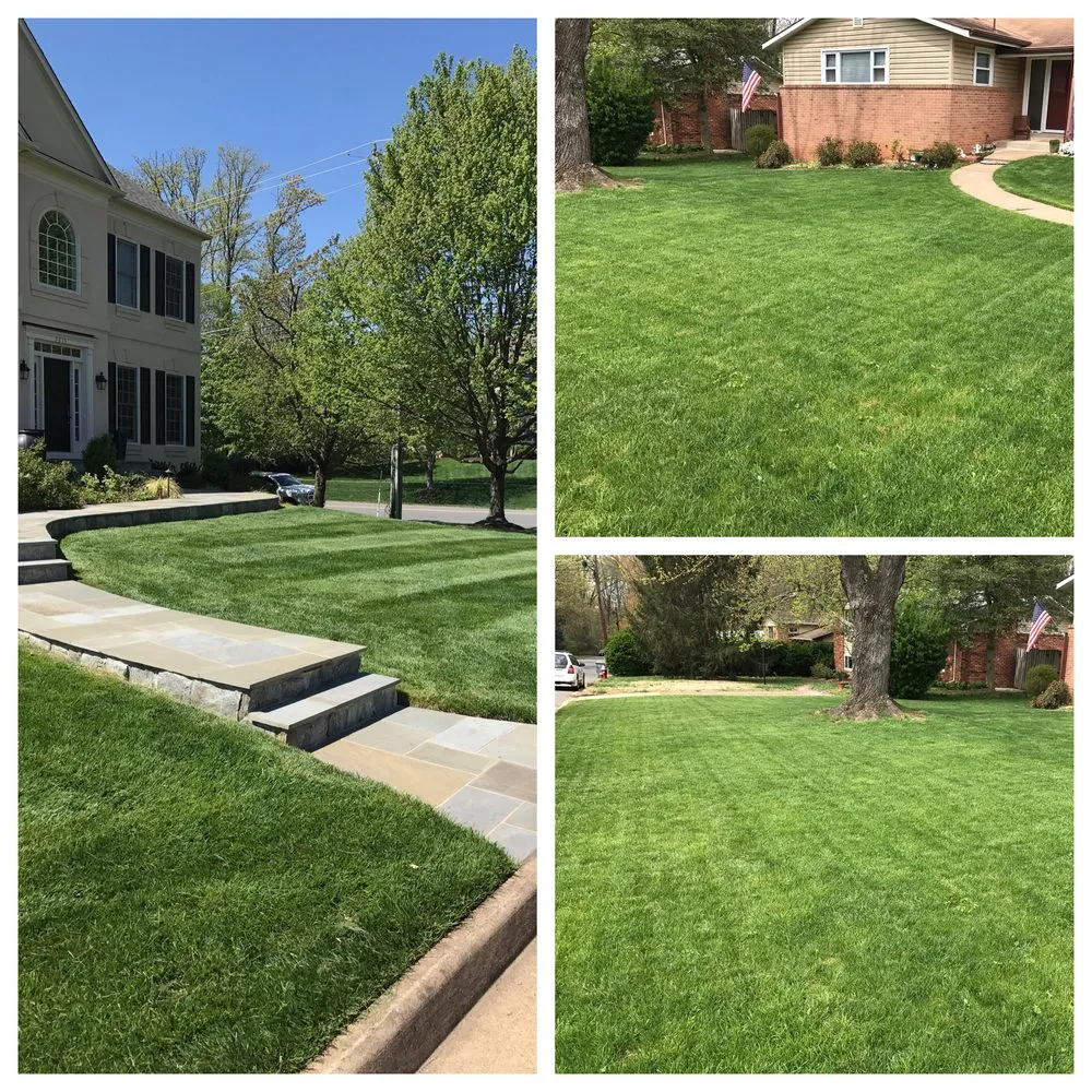 Local landscape installation experts serving Alexandria, VA - AP Landscapers, Lawn Care and Landscaping Service