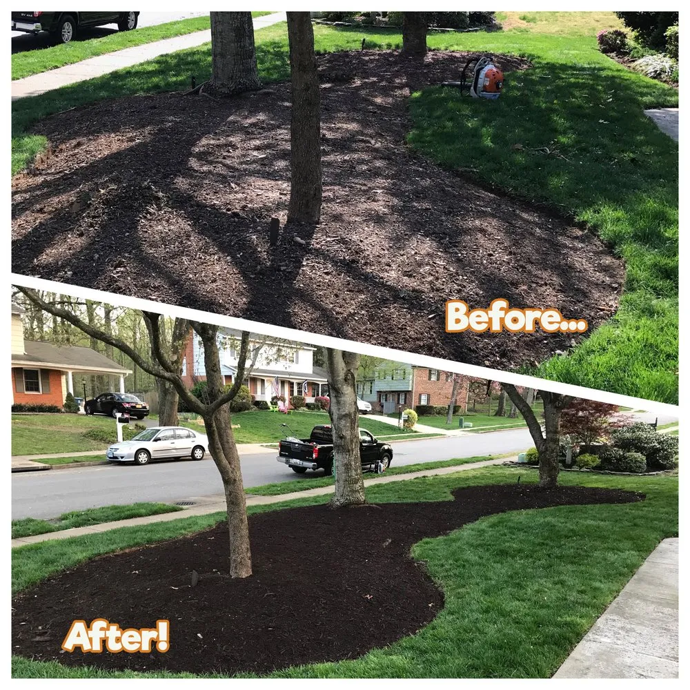 Custom yard maintenance for outdoor upgrades across Alexandria, VA - AP Landscapers, Lawn Care and Landscaping Service