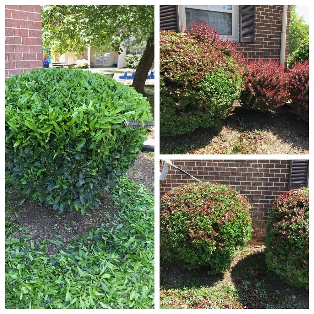 Expert garden landscaping in Alexandria, VA - AP Landscapers, Lawn Care and Landscaping Service