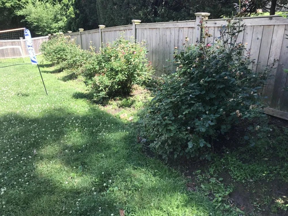 Expert garden landscaping for beautiful yards in Alexandria, VA by AP Landscapers, Lawn Care and Landscaping Service