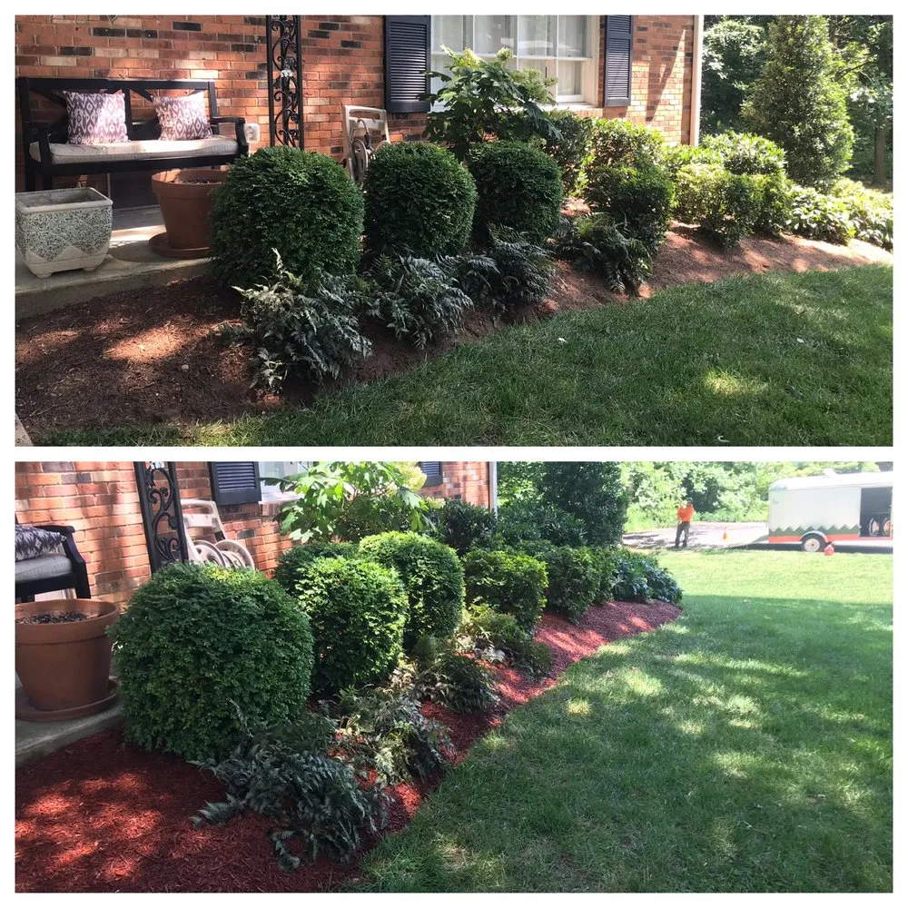 Local yard maintenance in Alexandria, VA by AP Landscapers, Lawn Care and Landscaping Service