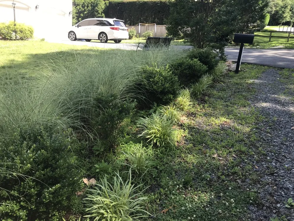 Professional lawn care service in Alexandria, VA - AP Landscapers, Lawn Care and Landscaping Service