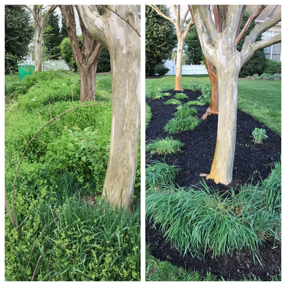 Reliable lawn care service with custom design across Alexandria, VA - AP Landscapers, Lawn Care and Landscaping Service