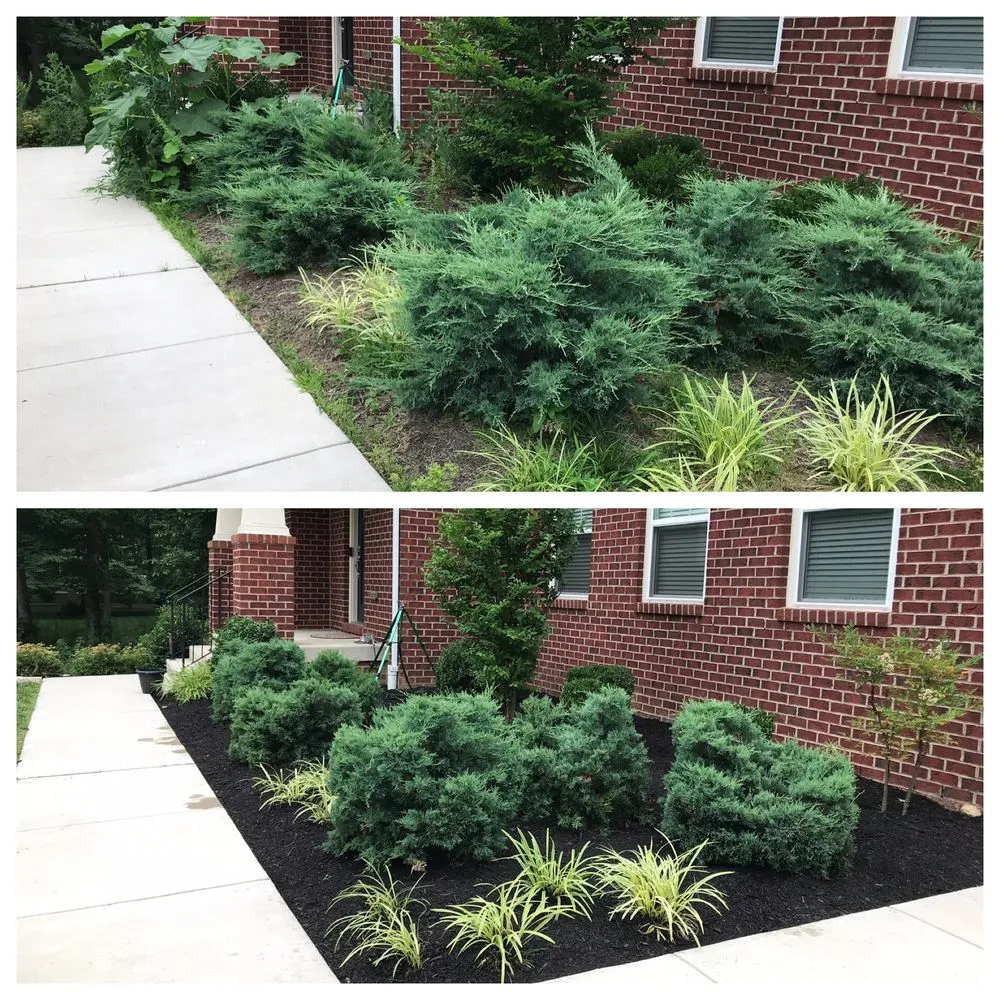 Professional landscape design experts serving Alexandria, VA - AP Landscapers, Lawn Care and Landscaping Service