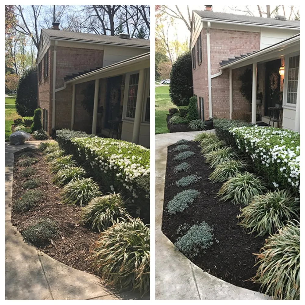 Trusted yard cleanup service for outdoor upgrades across Alexandria, VA - AP Landscapers, Lawn Care and Landscaping Service