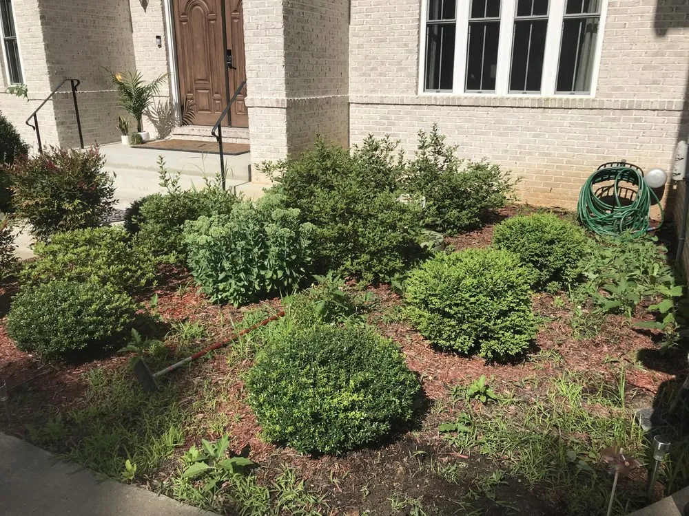 Trusted yard cleanup service for homes across Alexandria, VA - AP Landscapers, Lawn Care and Landscaping Service