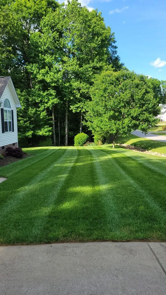 Local landscape installation with custom design in Raleigh, NC by AP Landscapes and Lawn care