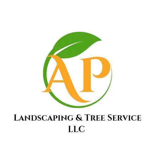 Custom yard cleanup service for year-round maintenance across Umatilla, FL - AP landscaping & tree service