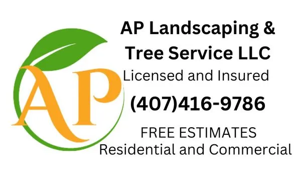 AP landscaping & tree service