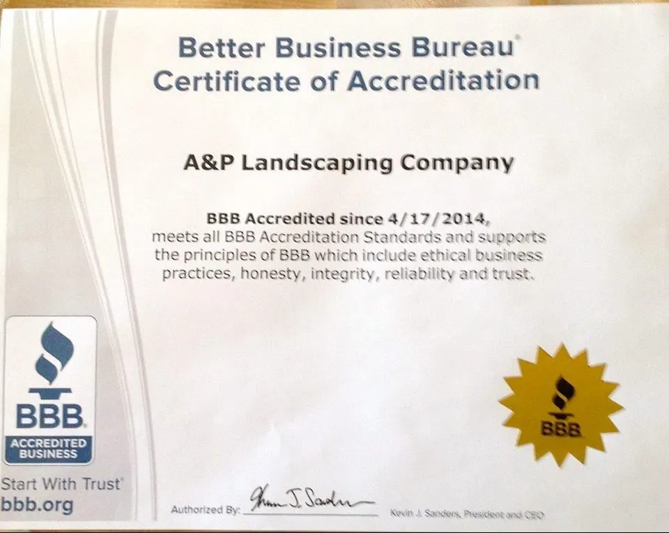 Professional landscape installation for year-round maintenance across Exeter, RI - A&P Landscaping