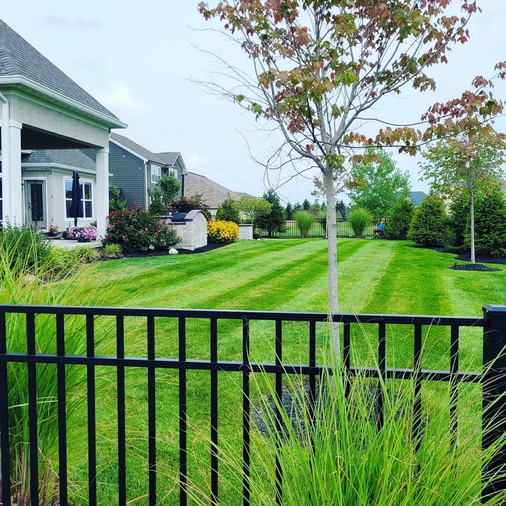 Reliable lawn care service experts serving Grove City, OH - AP Landscaping