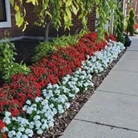 Reliable garden landscaping for homes across Grove City, OH - AP Landscaping