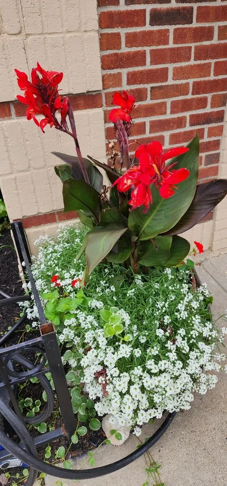 Professional landscaping services in Grove City, OH by AP Landscaping